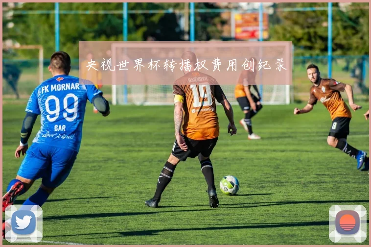 央视世界杯转播权费用创纪录