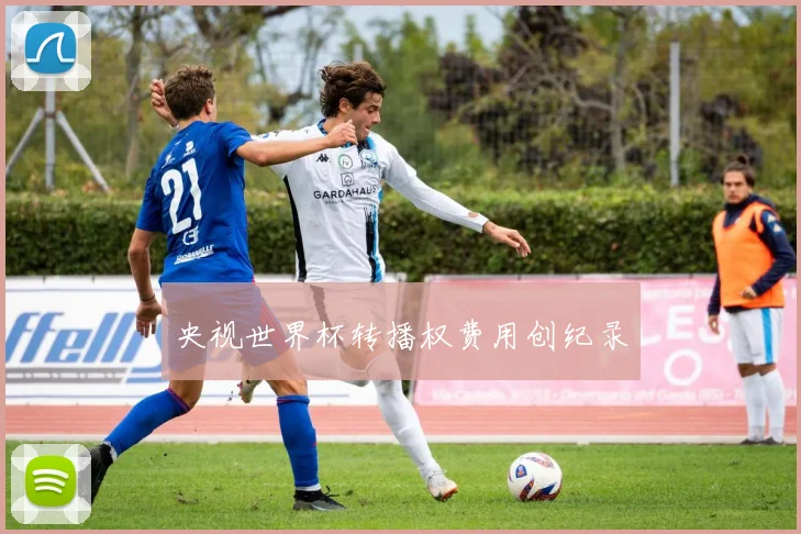 央视世界杯转播权费用创纪录