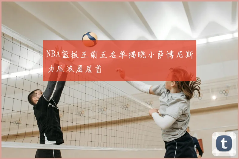 NBA篮板王前五名单揭晓小萨博尼斯力压浓眉居首
