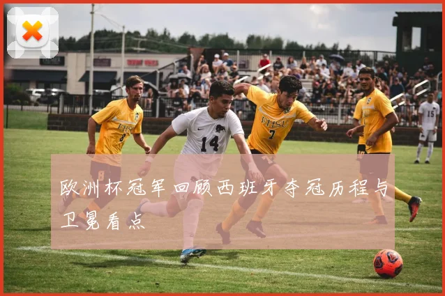 欧洲杯冠军回顾西班牙夺冠历程与卫冕看点
